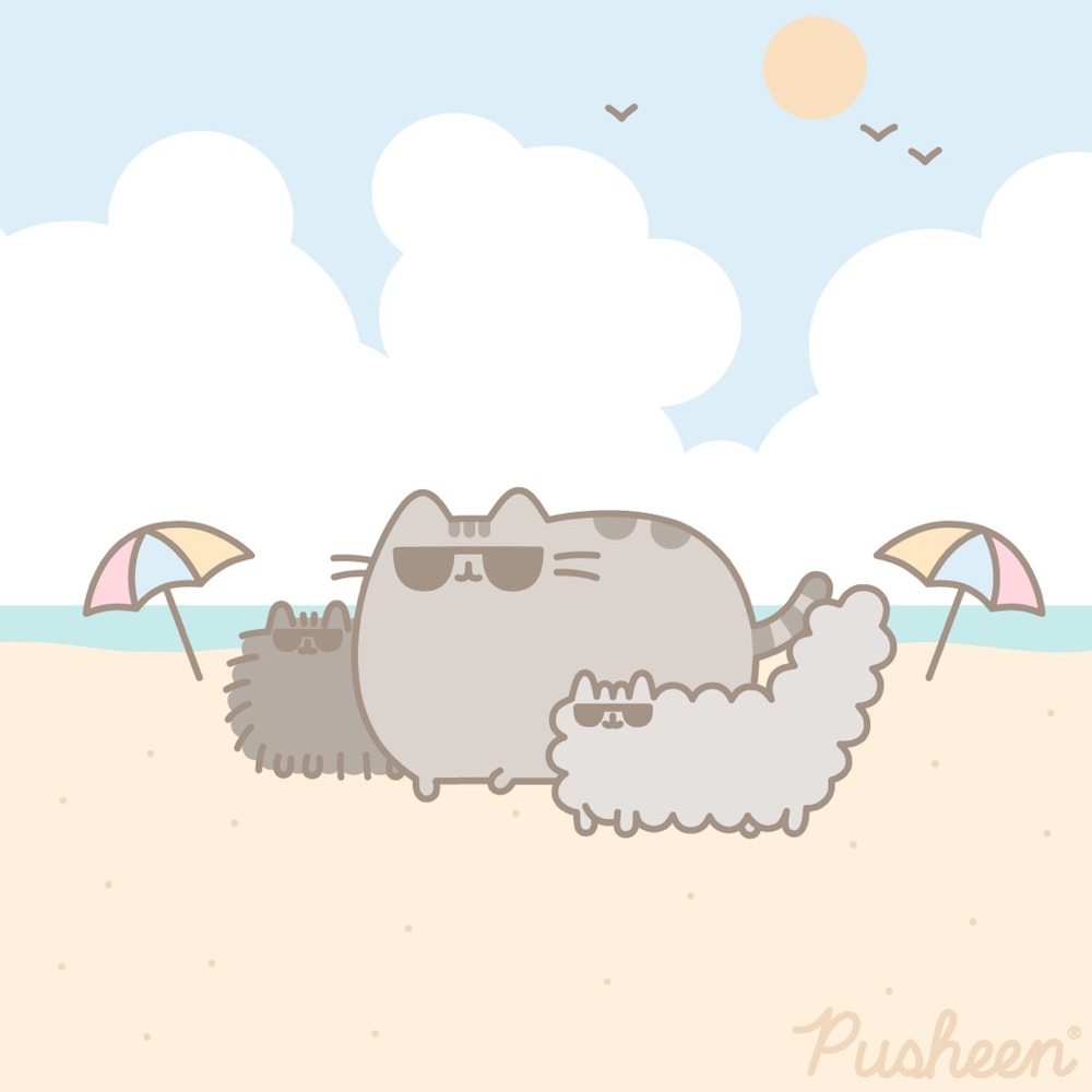 Meet your Posher, Sage 😁